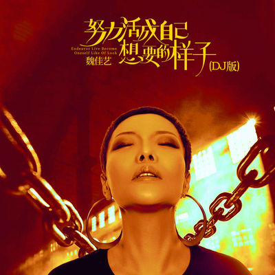 努力活成自己想要的样子 (DJ默涵版)封面
