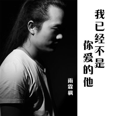 我已经不是你爱的他 (伴奏)封面