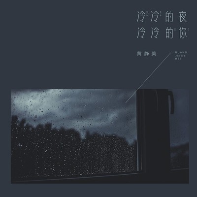 冷冷的夜冷冷的你(DJ阿福 Remix版)封面