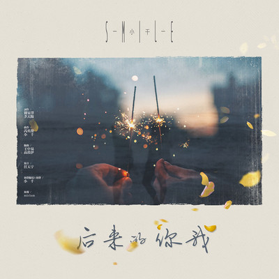 后来的你我封面