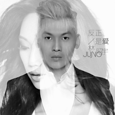 反正是爱 - 林昭宇封面