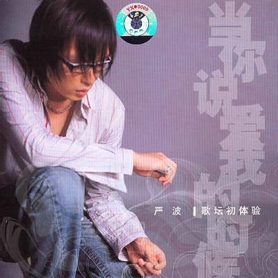 陪你看海（专辑：当你说爱我的时候） - 严波封面
