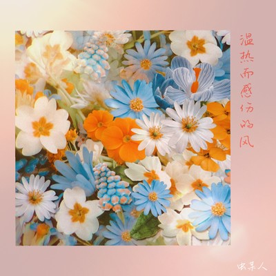 温热而感伤的风封面