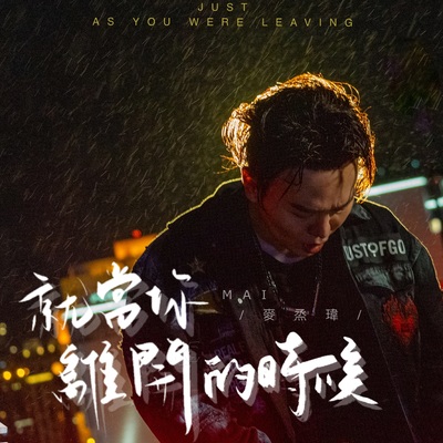 就当你离开的时候(乐器版)封面