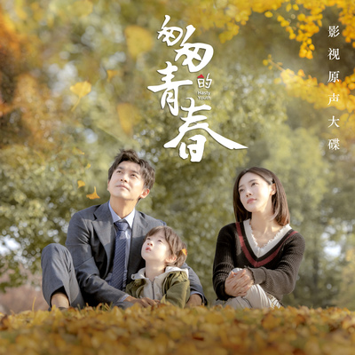 你要好好的(电视剧《匆匆的青春》插曲)封面