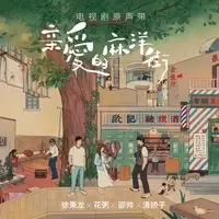 不要说走就走(《亲爱的麻洋街》电视剧插曲)