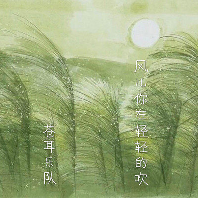 风儿你在轻轻的吹封面