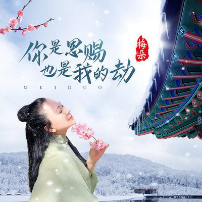 你是恩赐也是我的劫 (伴奏)封面