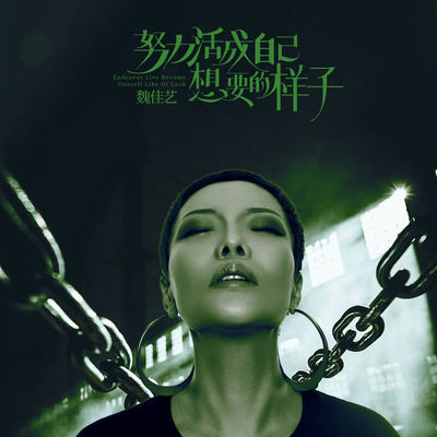 努力活成自己想要的样子封面