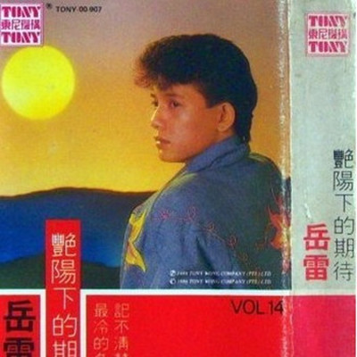 记不清楚，想不起来封面