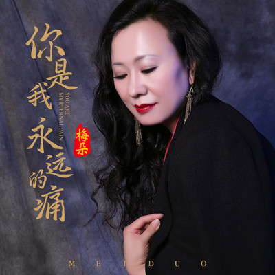 你是我永远的痛 - 梅朵封面