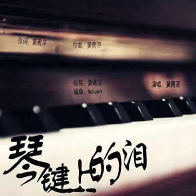 琴键上的泪封面