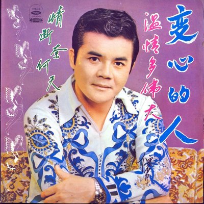 等你一年又一年封面