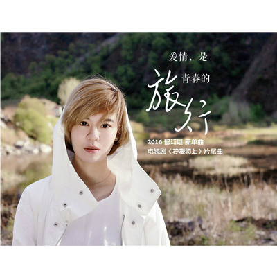 爱情是青春的旅行(电视剧《柠檬初上》片尾曲)封面