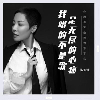 我唱的不是歌是无尽的心痛（完整版）封面