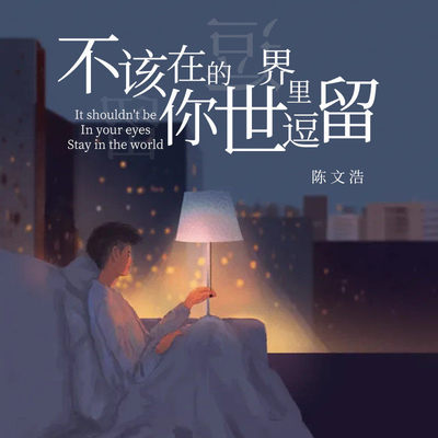 不该在你的世界里逗留封面