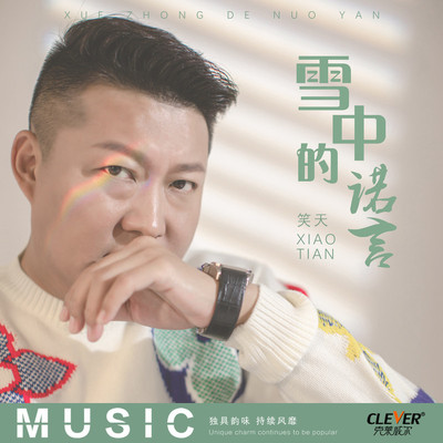 雪中的诺言封面