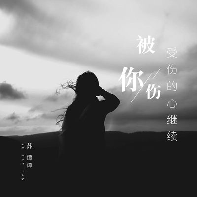 受伤的心继续被你伤封面