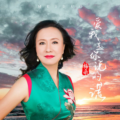 爱我是你说的谎 (伴奏) - 梅朵封面