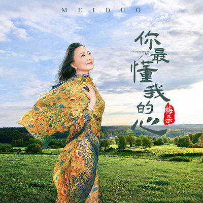 你最懂我的心 (伴奏)封面