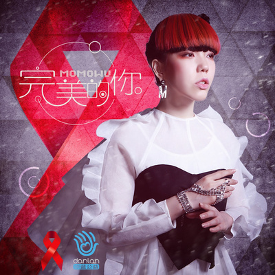 完美的你(第29个世界国际艾滋病日推广曲)封面