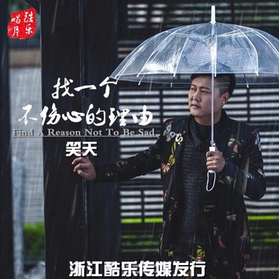 找一个不伤心的理由封面