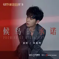 候鸟的承诺(电影《曾经相爱的我们》推广曲)