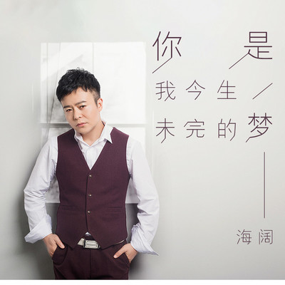 你是我今生未完的梦(伴奏)封面