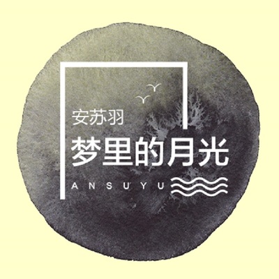 梦里的月光封面