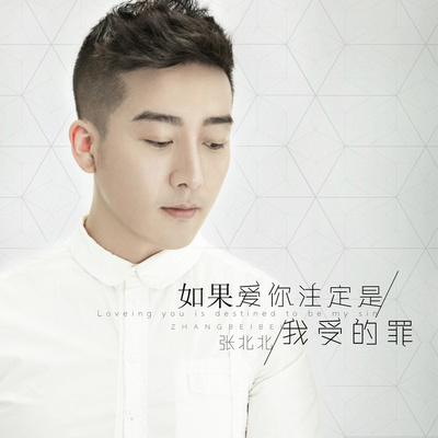 如果爱你注定是我受的罪 (DJ 阿斌)封面