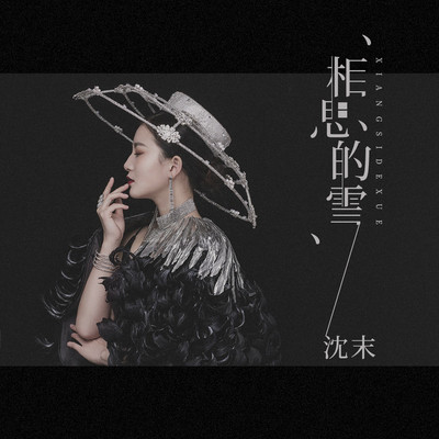 相思的雪(伴奏)封面