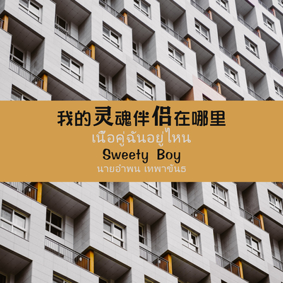 我的灵魂伴侣在哪里(中国版)封面