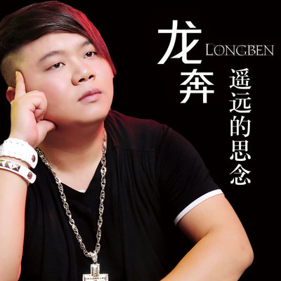 我是益阳人 - 龙奔封面