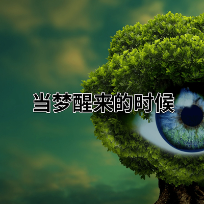 当梦醒来的时候封面