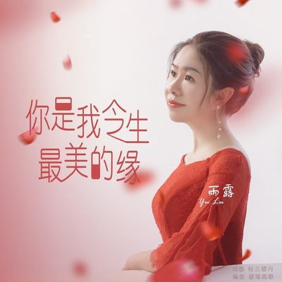 你是我今生最美的缘(伴奏)封面