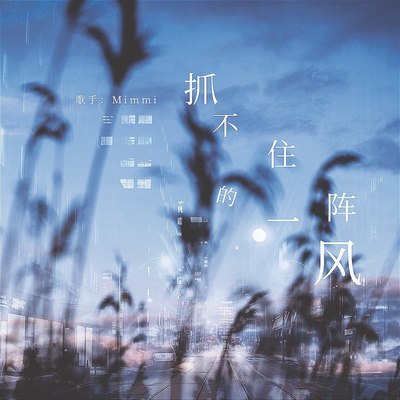 抓不住的一阵风(完整版)(完整版)封面