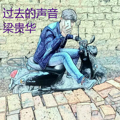 她只喝酒不说话封面
