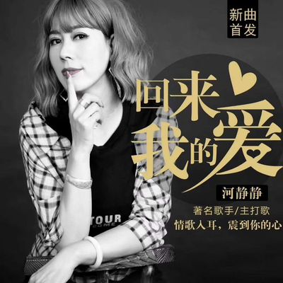 回来我的爱(伴奏)封面