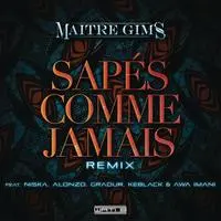 Sapes Comme Jamais (Remix)