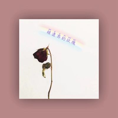 被遗弃的玫瑰封面