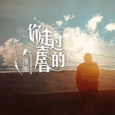 你走过的声音封面