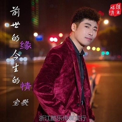 前世的缘今生的情 - 宝歌封面