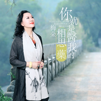 你就是医我的相思药 (伴奏)封面