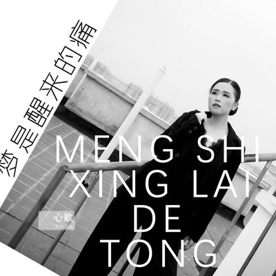 梦是醒来的痛 - 心歌封面