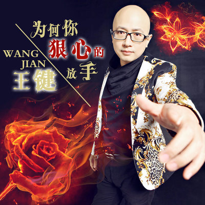 为何你狠心的放手封面