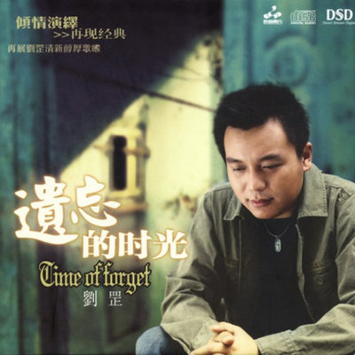 总有一天等到你封面