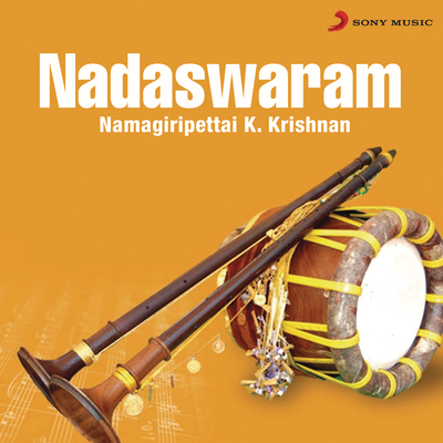 Chinnanchiru Kiliye (Raagamaalika)封面