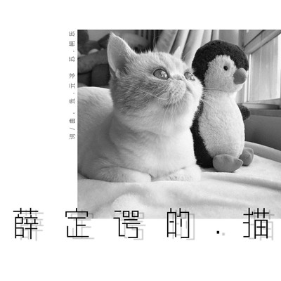 薛定谔的猫封面