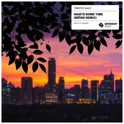 Waste Some Time (Extended Mix)封面