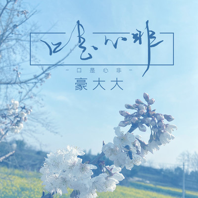 口是心非(DJ豪大大版)(DJ豪大大版)封面